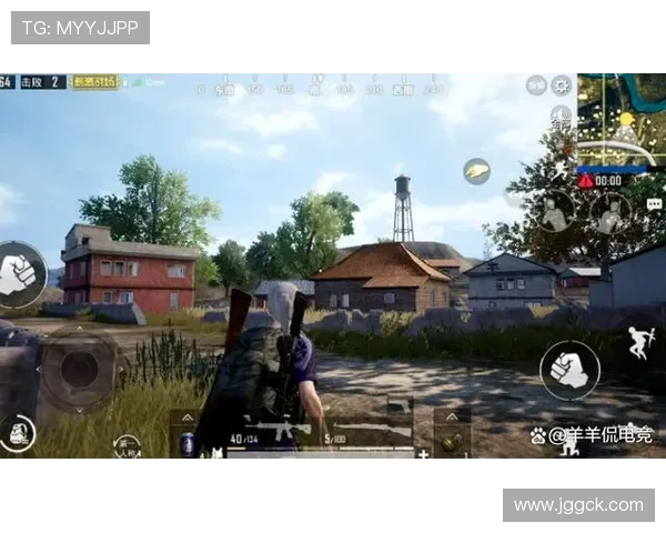 和平精英战术分析：深入探讨BLG战队的进攻策略与表现