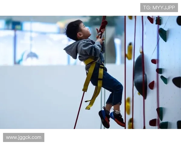 重庆攀岩队比赛经验分享与技术提升探讨之旅