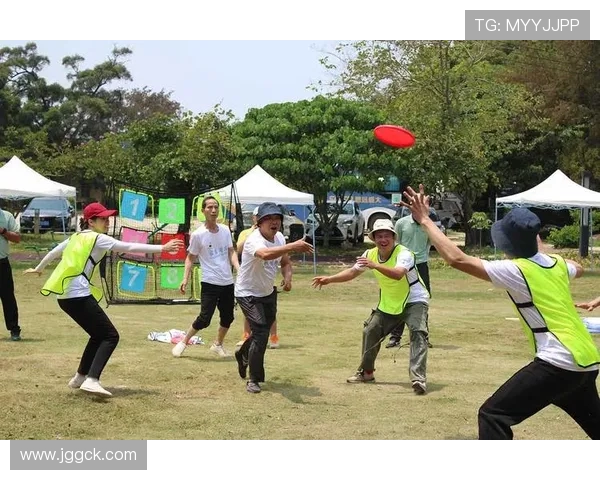 飞盘耐力赛事揭晓成都飞盘队荣登榜首展现卓越实力
